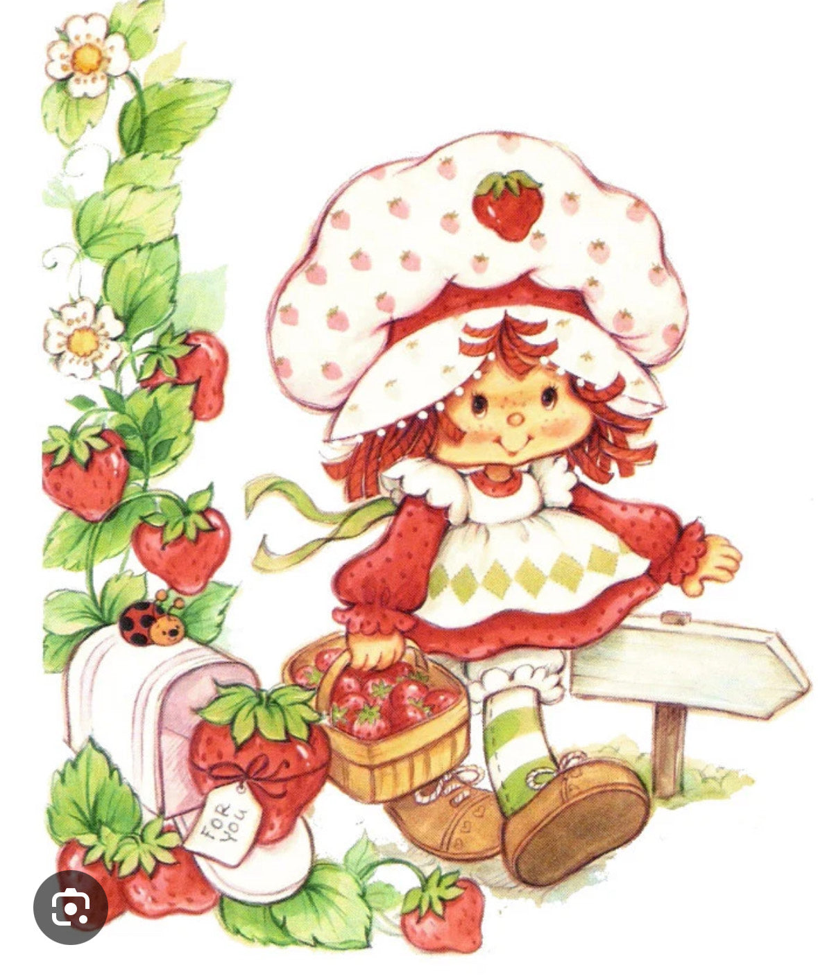 Custom Doll--Strawberry Shortcake