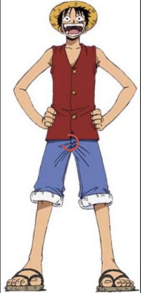 custom  doll--Luffy